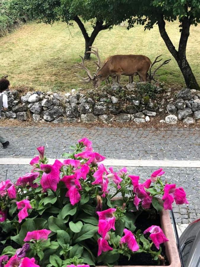 Casa Vacanze Daniela Villetta Barrea Eksteriør bilde